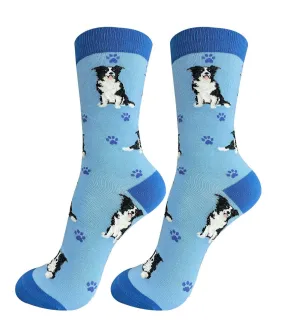 Border Collie Socks-Full Body