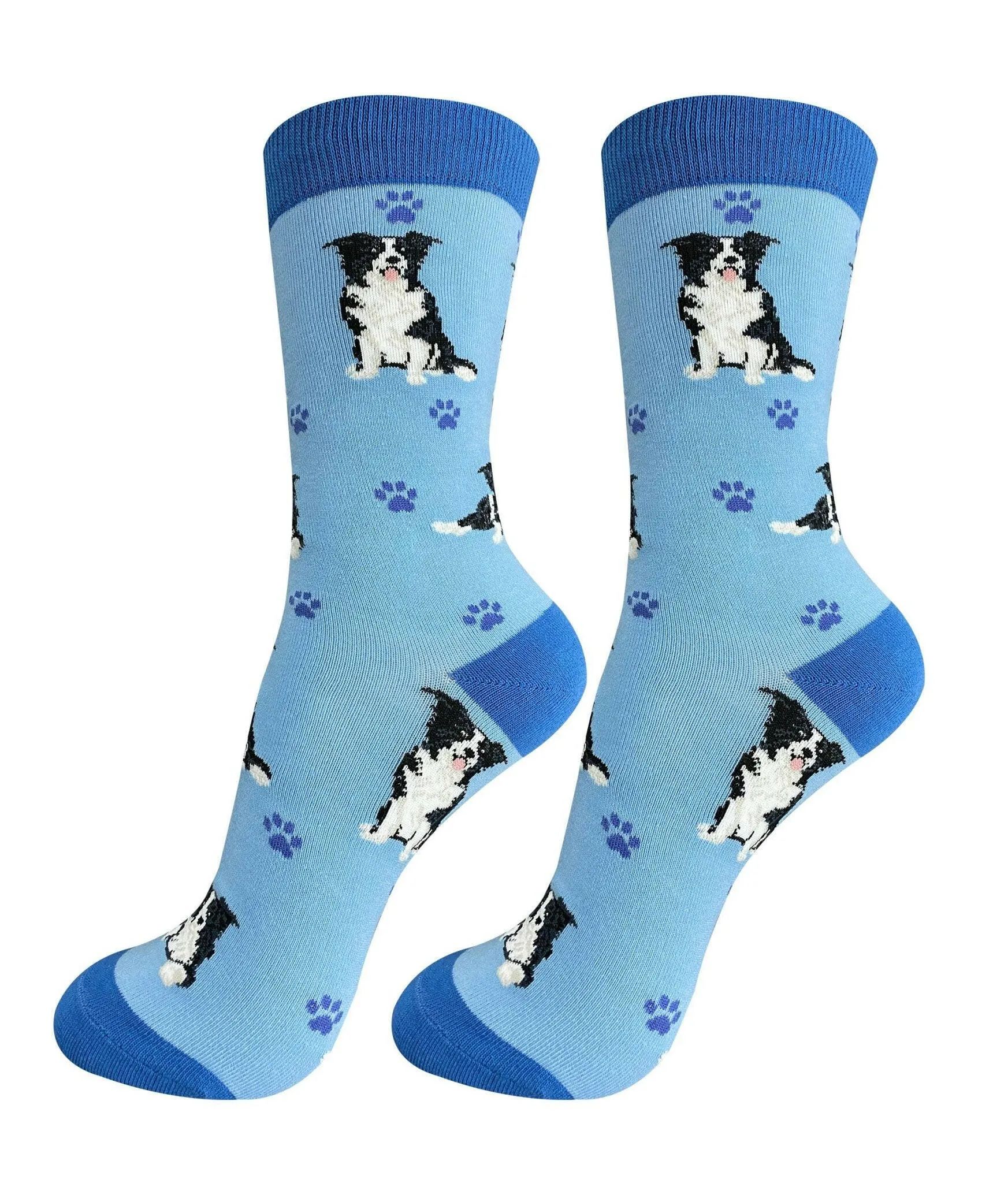 Border Collie Socks-Full Body