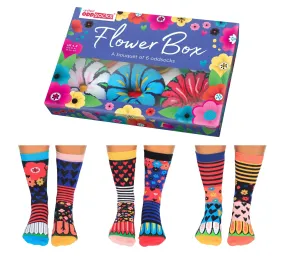 Flower Box 6 Oddsocks