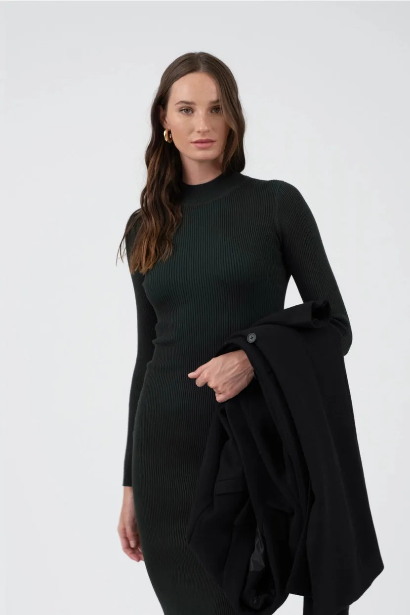 Hudson Sweater Dress