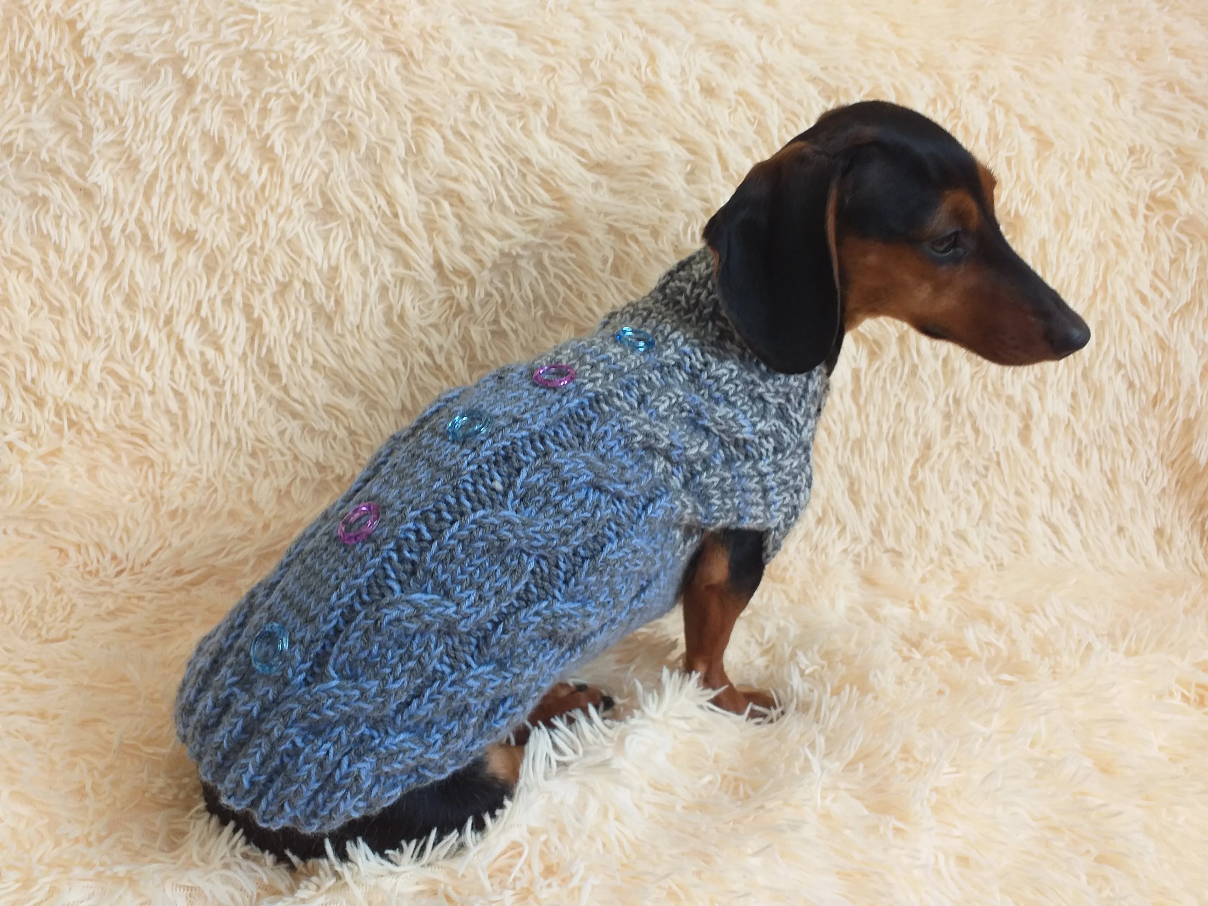 Size L Sweater for mini dachshund with arana,dachshund cloches wool sweater