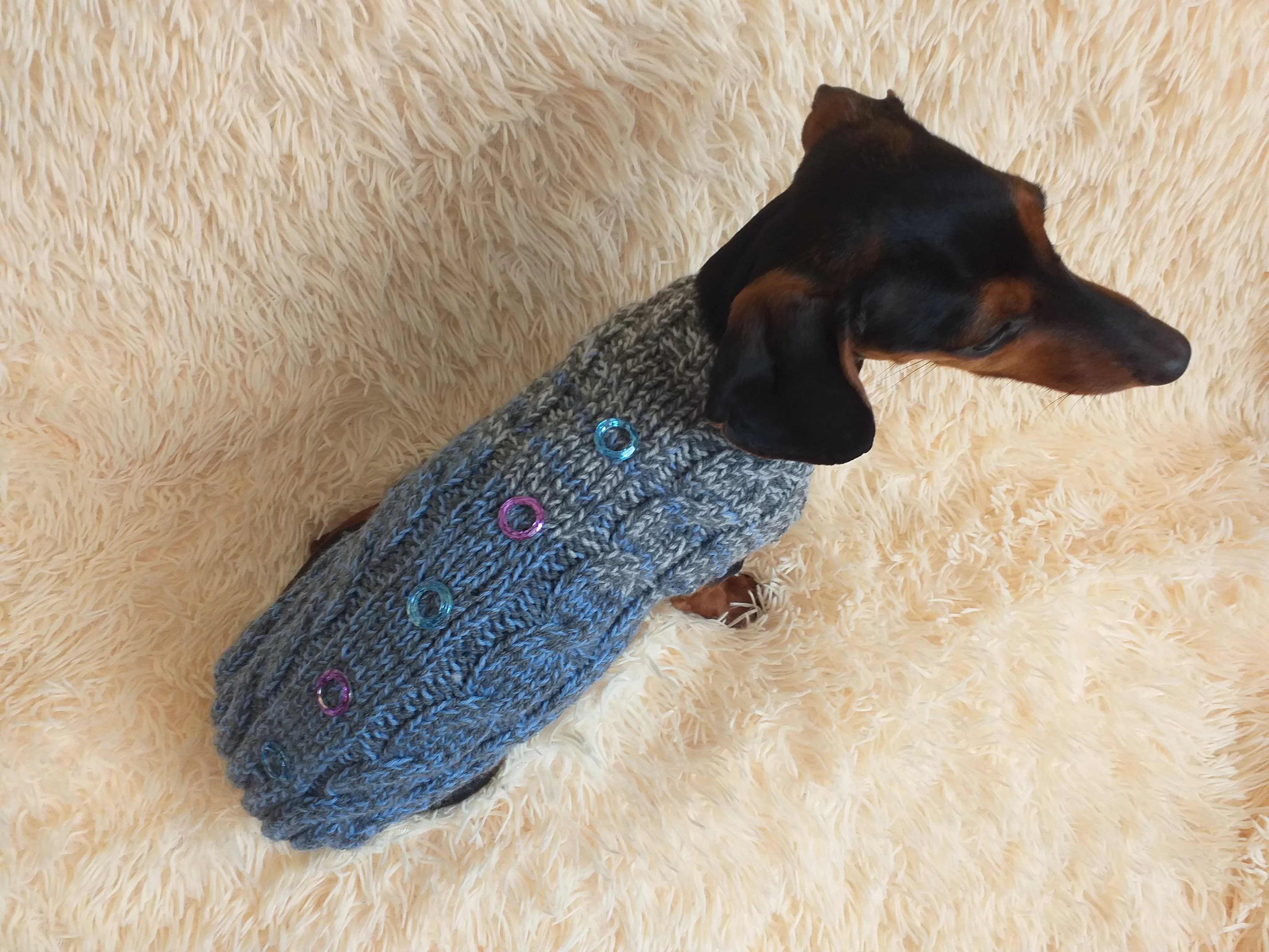 Size L Sweater for mini dachshund with arana,dachshund cloches wool sweater