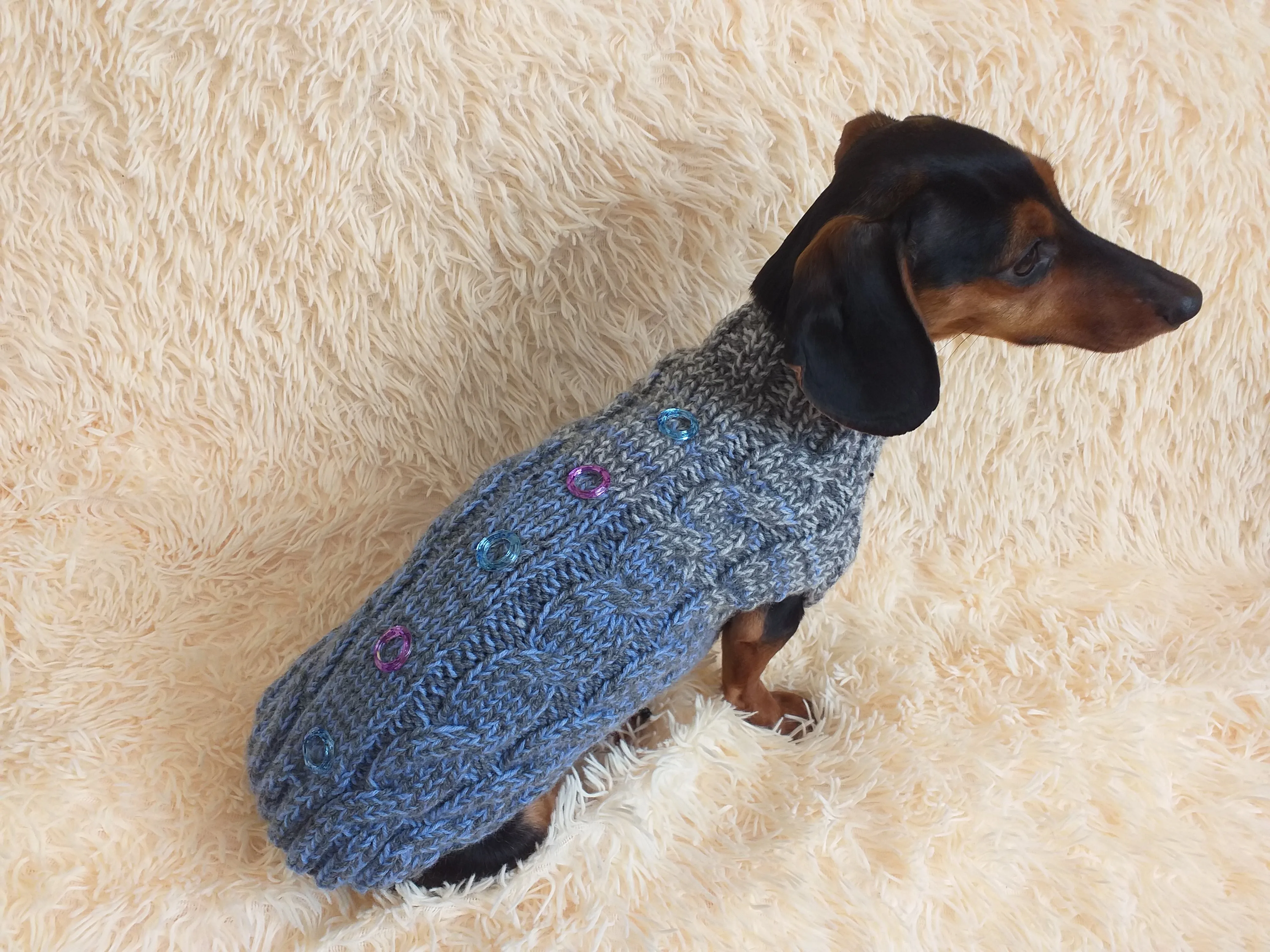 Size L Sweater for mini dachshund with arana,dachshund cloches wool sweater